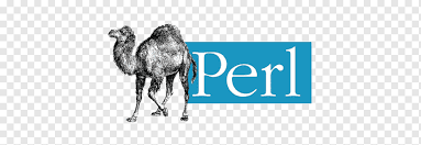 perl training & perl certification